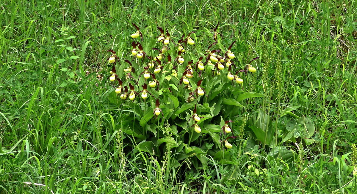 [Group 3]-05-31-2015_131933(1)_05-31-2015_131933-5 imagesp_Bildgr��e �ndern