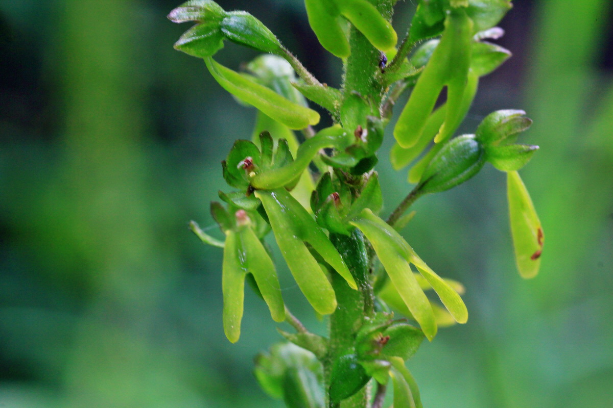 A_2015_05_31_00019477p_Bildgr��e �ndern