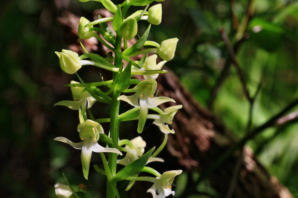 A_2015_05_31_00019490p_Bildgr��e �ndern