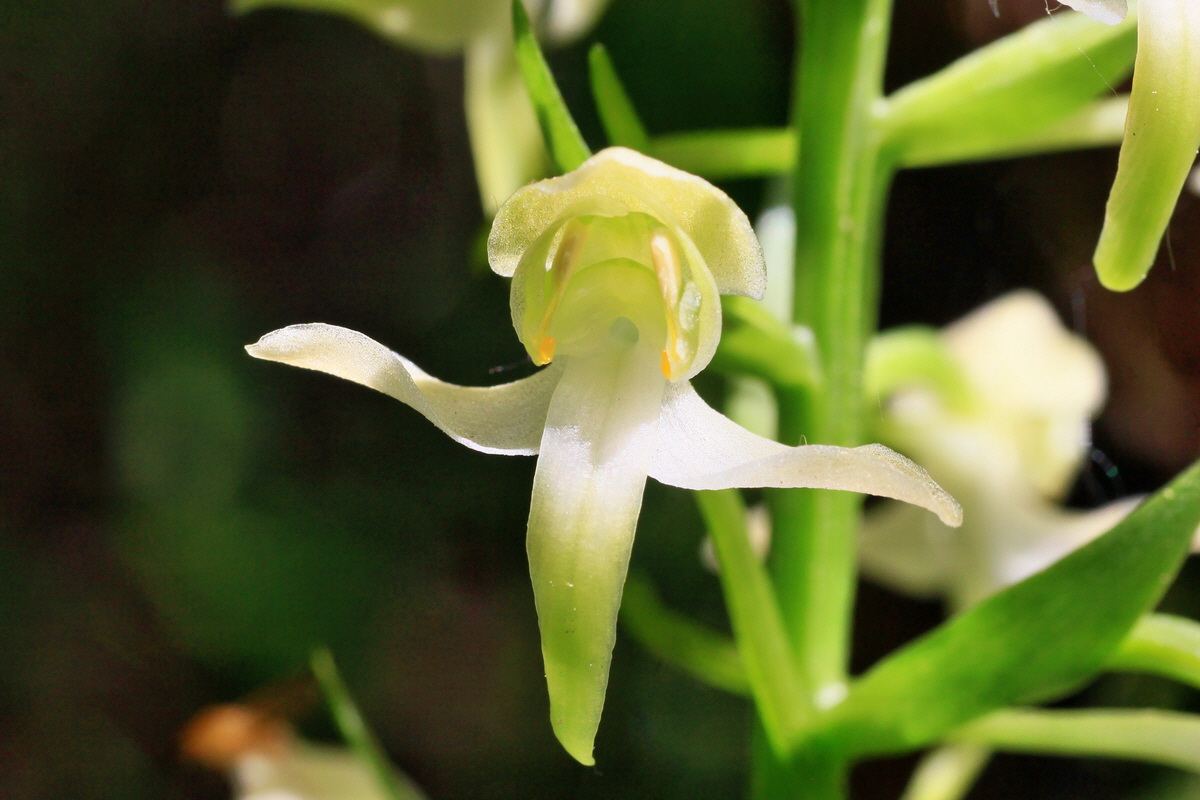 A_2015_05_31_00019494p_Bildgr��e �ndern