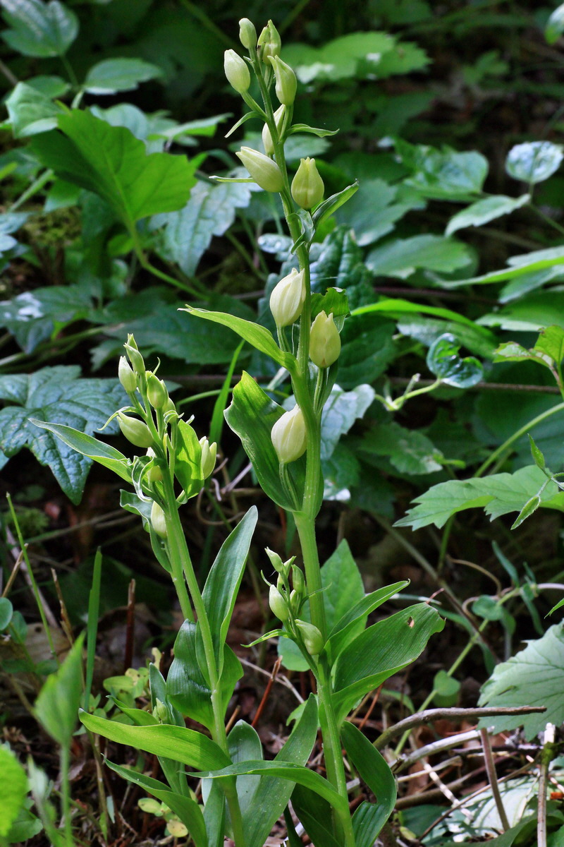 A_2015_05_31_00019495p_Bildgr��e �ndern