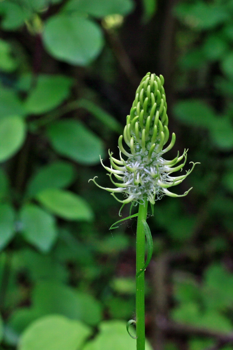 A_2015_05_31_00019502p_Bildgr��e �ndern