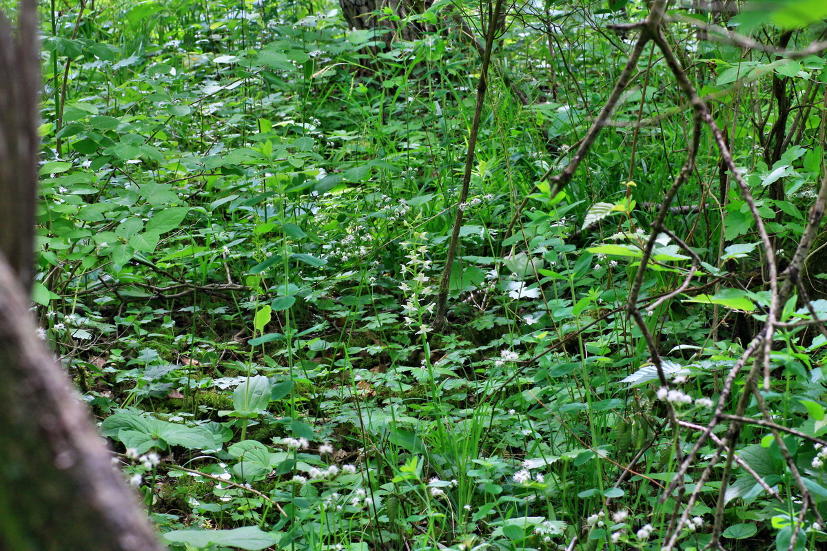 A_2015_05_31_00019506p_Bildgr��e �ndern