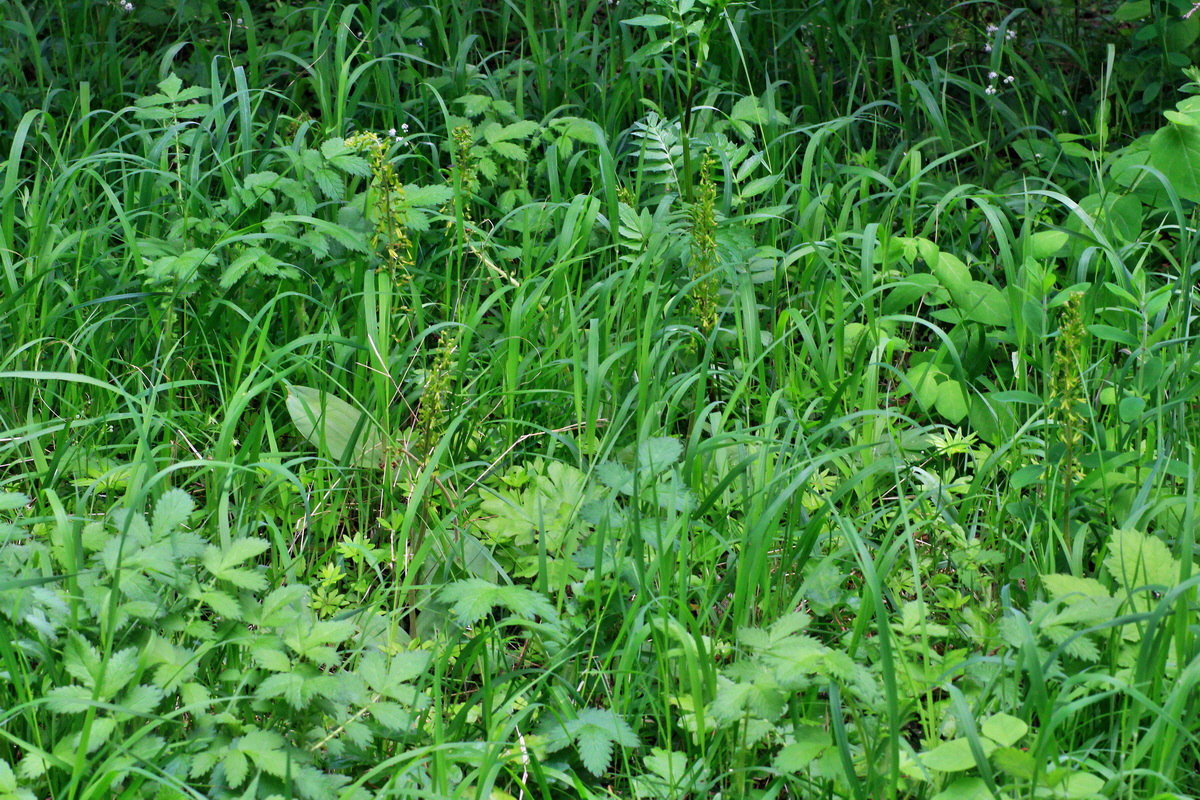 A_2015_05_31_00019513p_Bildgr��e �ndern