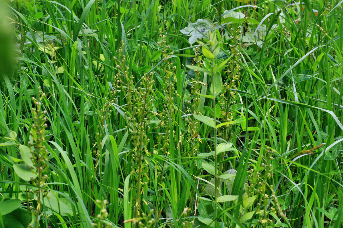 A_2015_05_31_00019520p_Bildgr��e �ndern