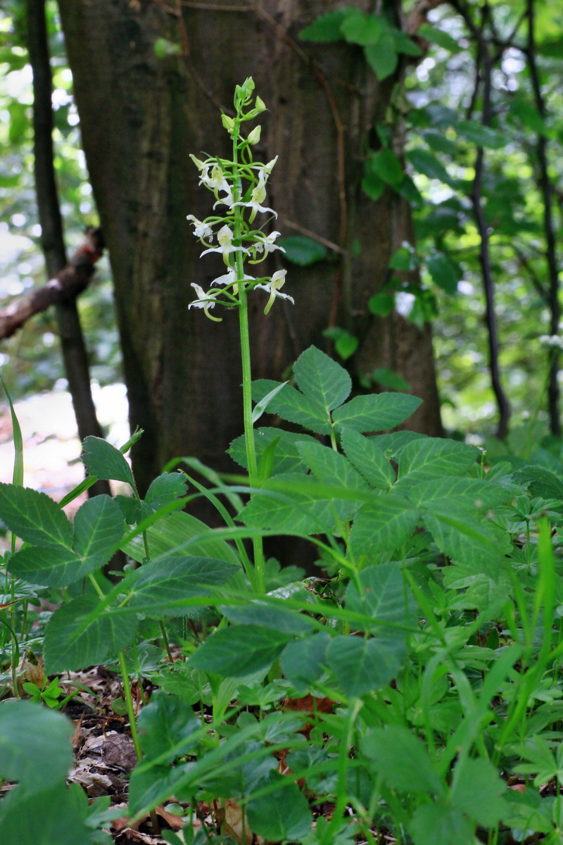 A_2015_05_31_00019530p_Bildgr��e �ndern