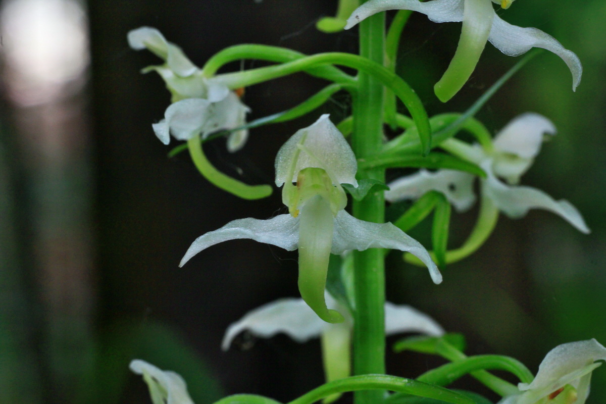 A_2015_05_31_00019535p_Bildgr��e �ndern