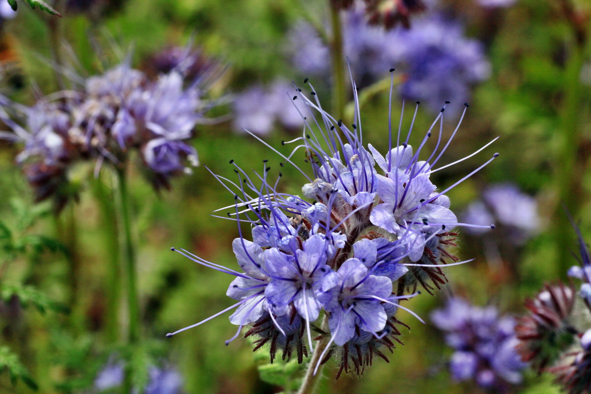 A_2015_05_31_00019548p_Bildgr��e �ndern