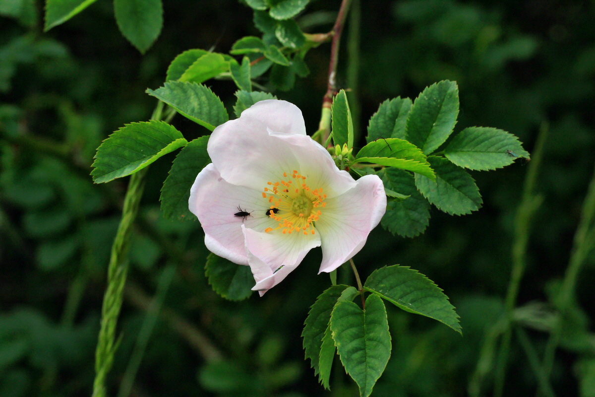 A_2015_05_31_00019570p_Bildgr��e �ndern