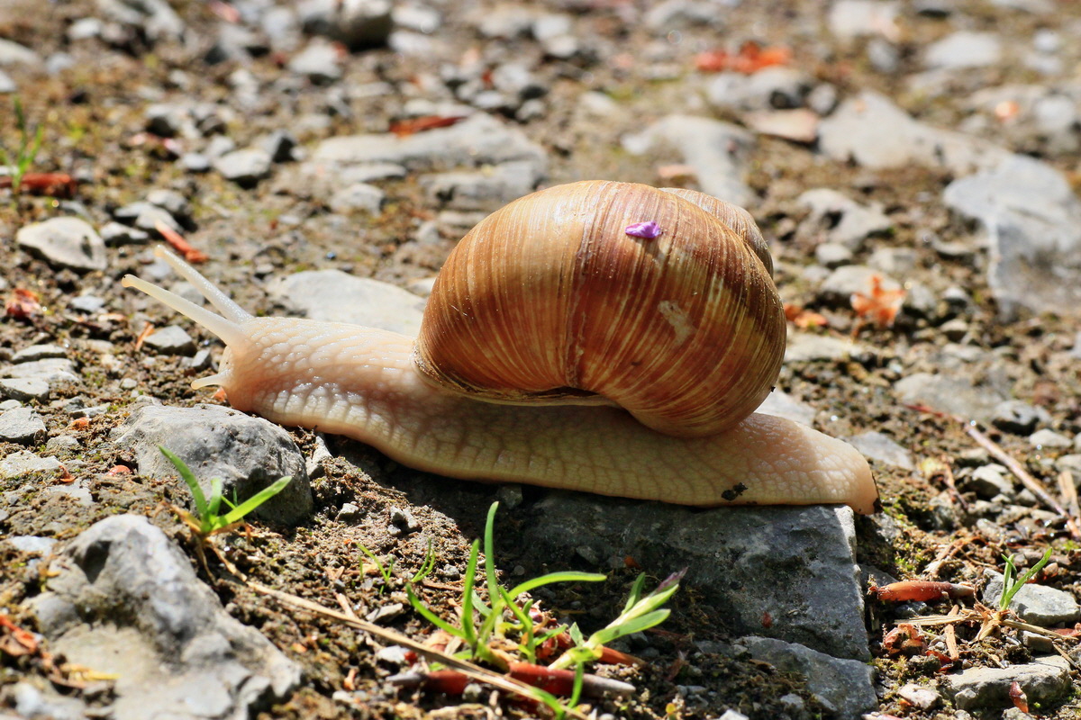 A_2015_05_31_00019581p_Bildgr��e �ndern