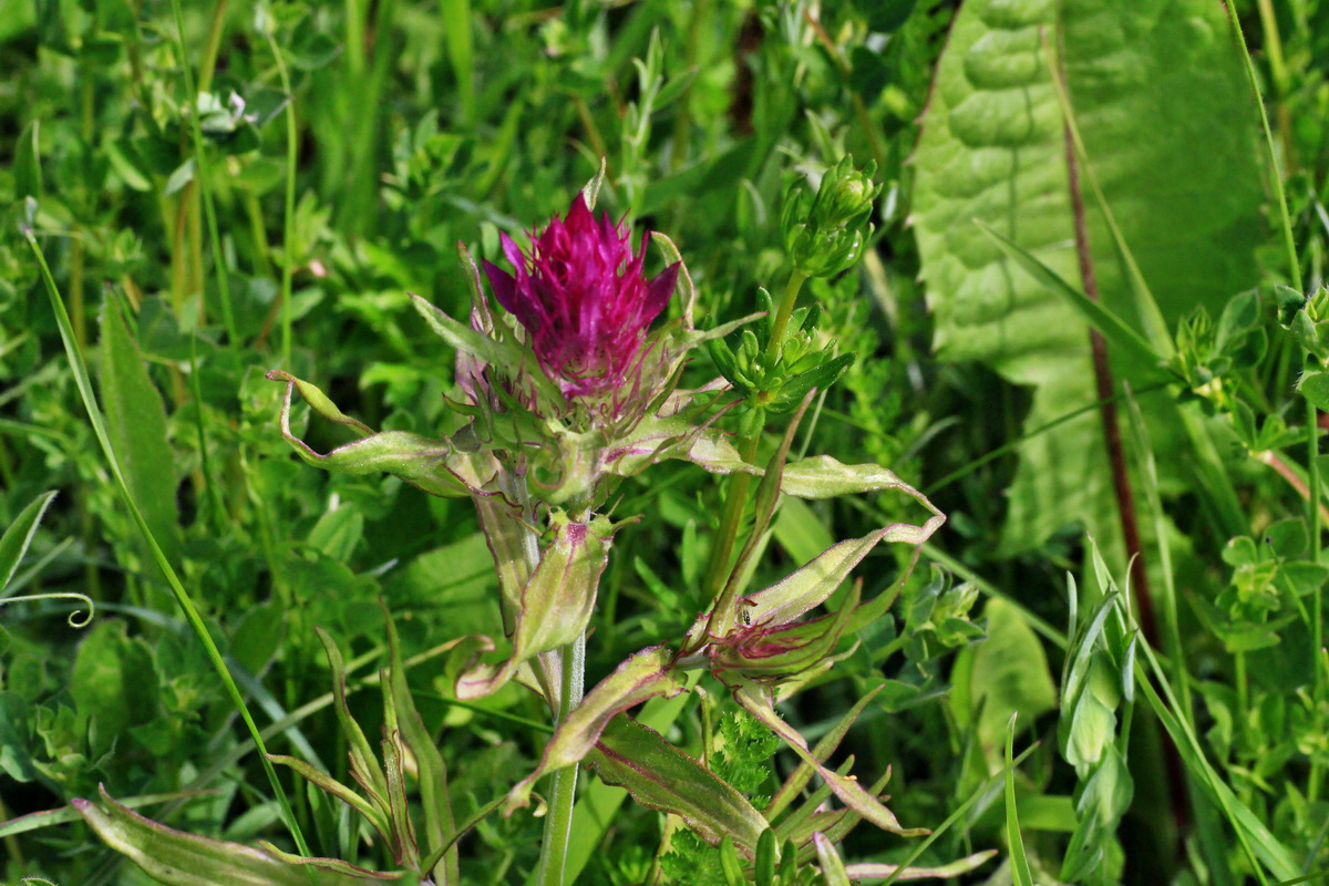 A_2015_05_31_00019588p_Bildgr��e �ndern