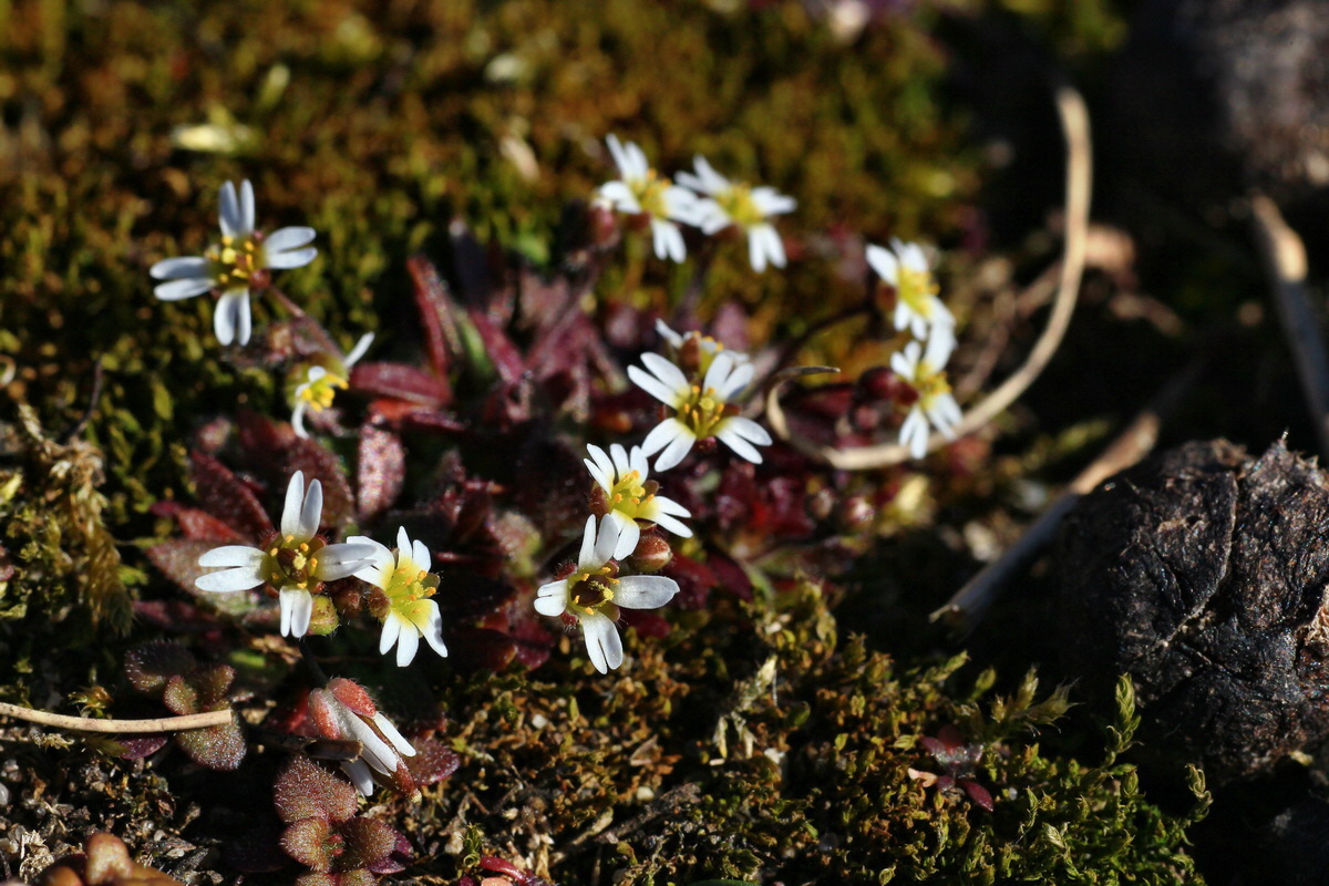 2015_03_08_00015618_Bildgr��e �ndern