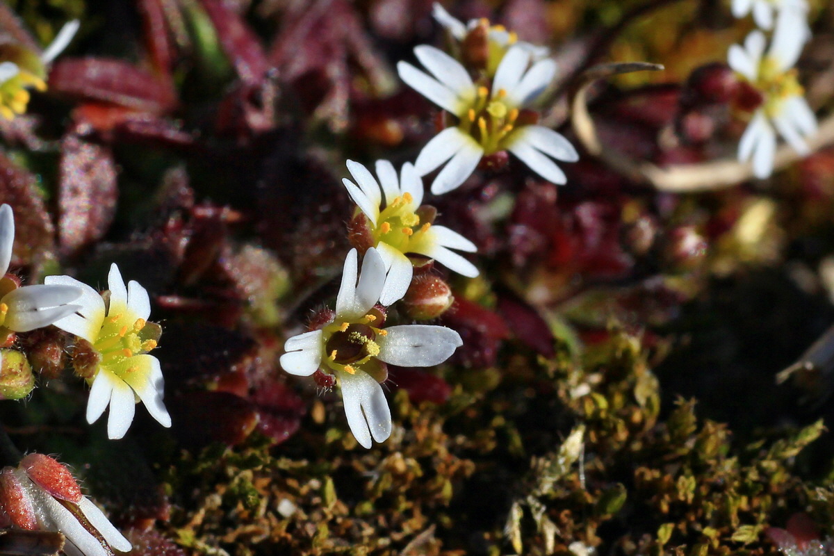 2015_03_08_00015618a_Bildgr��e �ndern