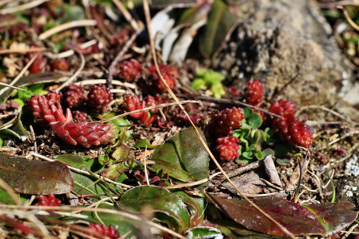 2015_03_08_00015624_Bildgr��e �ndern