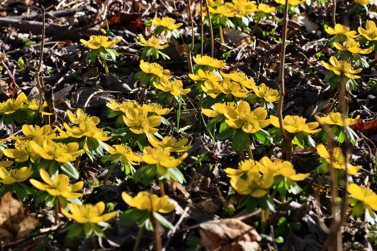 2015_03_08_00015628_Bildgr��e �ndern