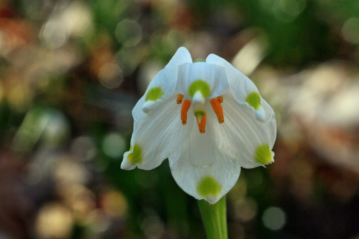 2015_03_08_00015655_Bildgr��e �ndern