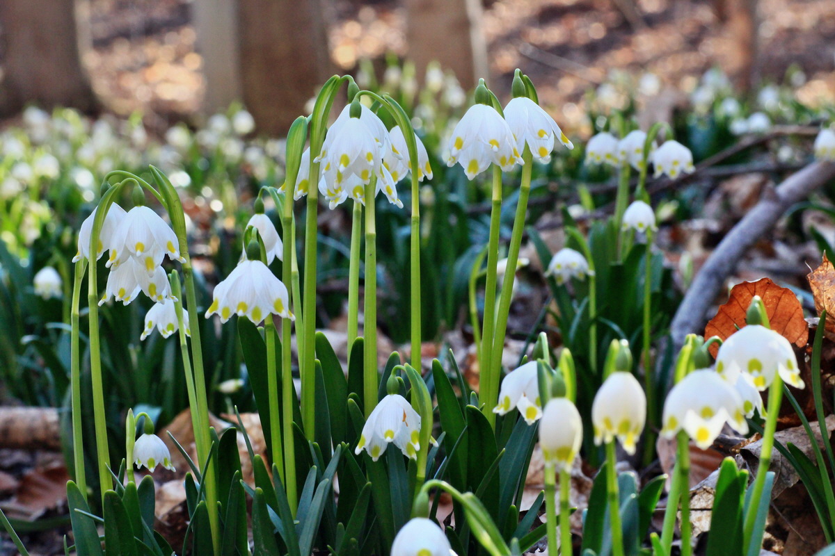 2015_03_08_00015658_Bildgr��e �ndern