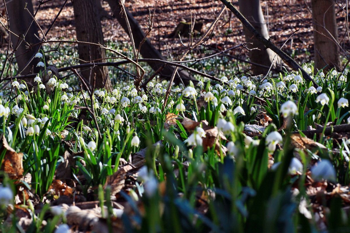 2015_03_08_00015662_Bildgr��e �ndern