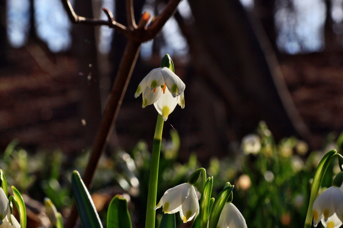 2015_03_08_00015667_Bildgr��e �ndern