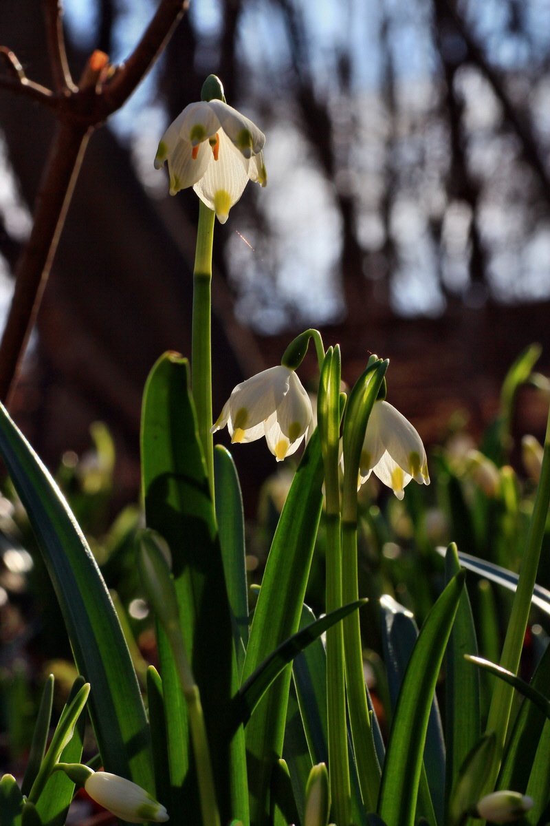 2015_03_08_00015669_Bildgr��e �ndern