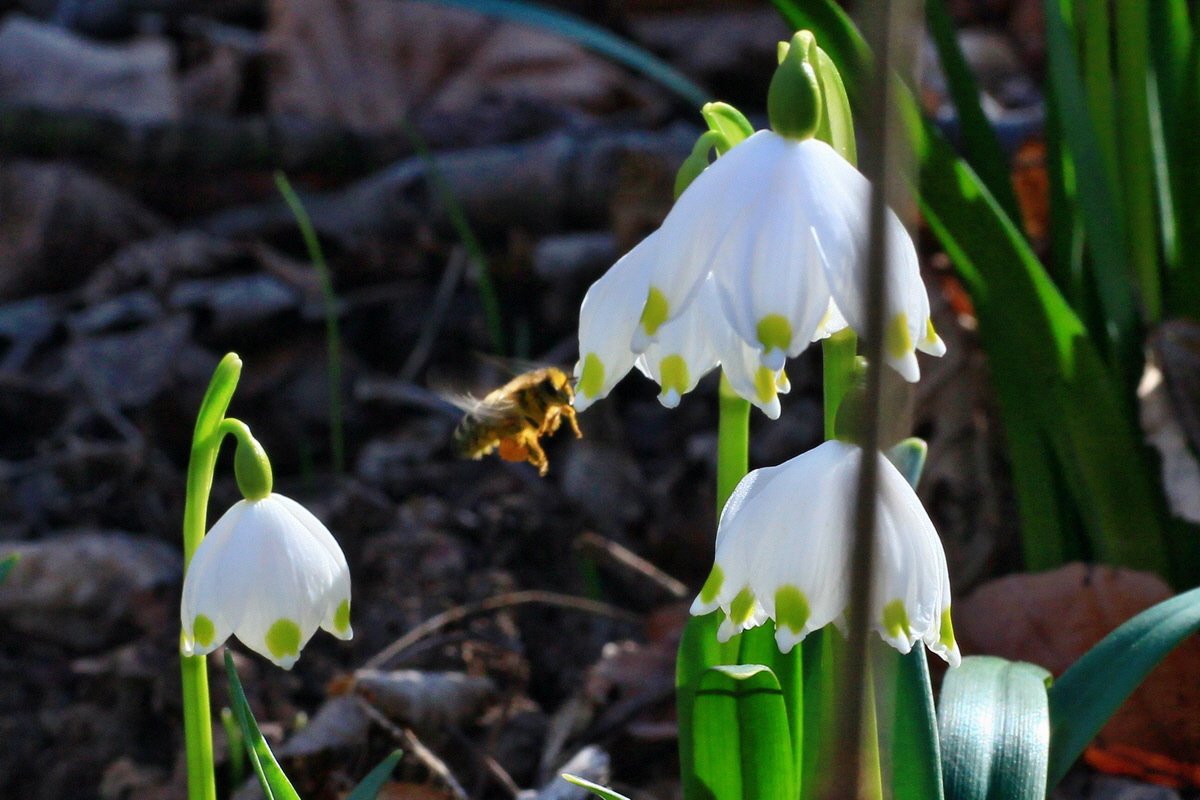 2015_03_08_00015679a_Bildgr��e �ndern