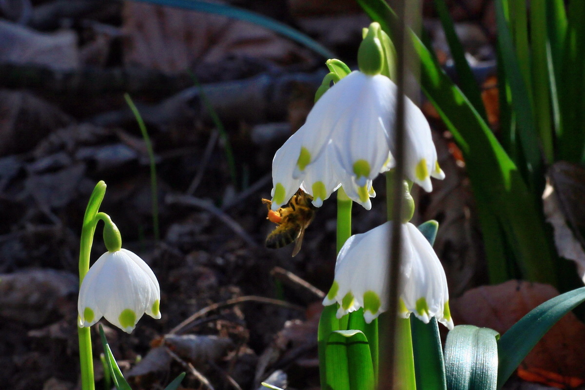 2015_03_08_00015692a_Bildgr��e �ndern