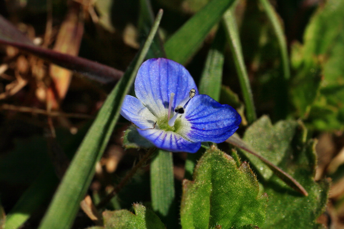 2015_03_08_00015703_Bildgr��e �ndern