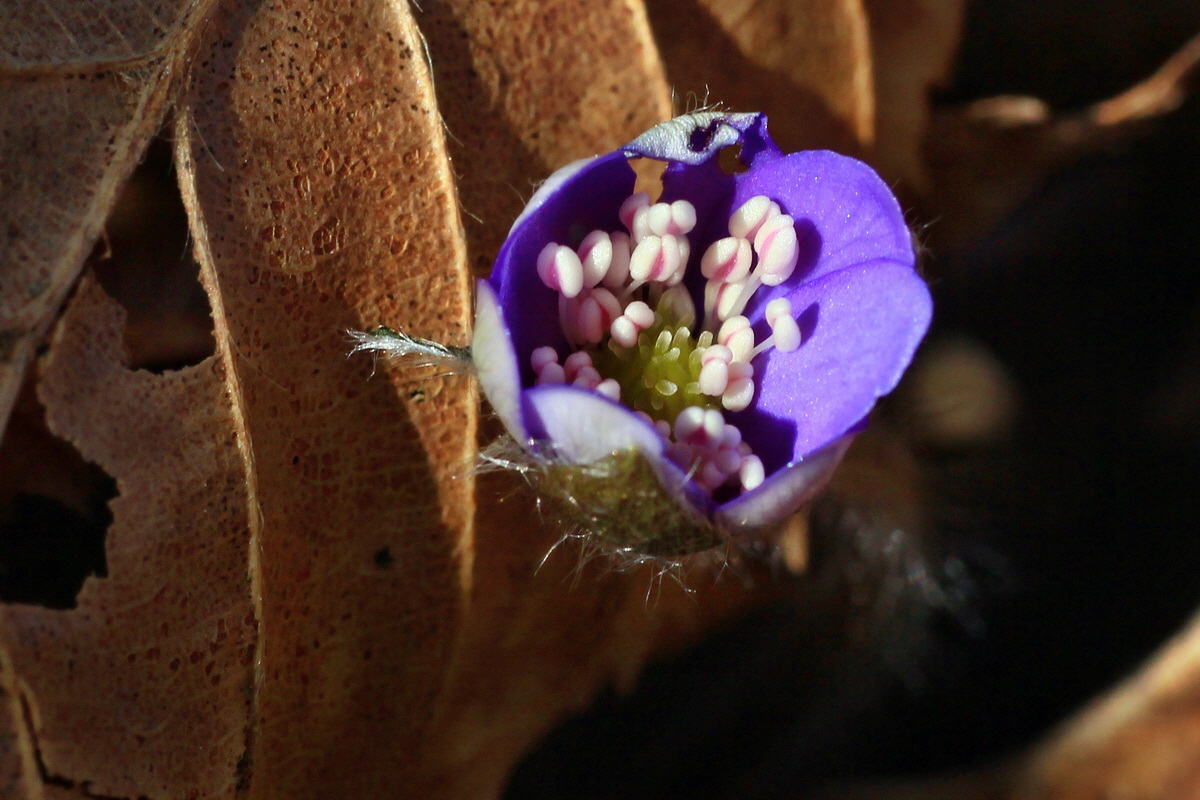 2015_03_08_00015715a_Bildgr��e �ndern