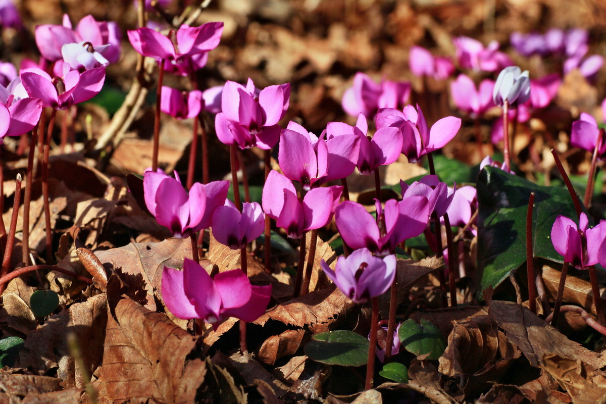 2015_03_08_00015733_Bildgr��e �ndern