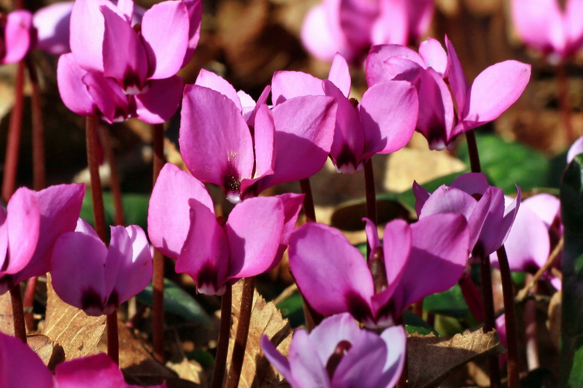 2015_03_08_00015733a_Bildgr��e �ndern