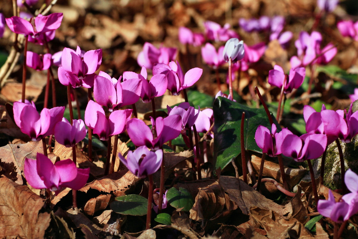 2015_03_08_00015737_Bildgr��e �ndern