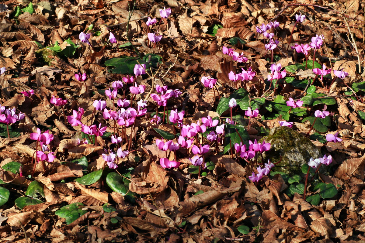 2015_03_08_00015741_Bildgr��e �ndern