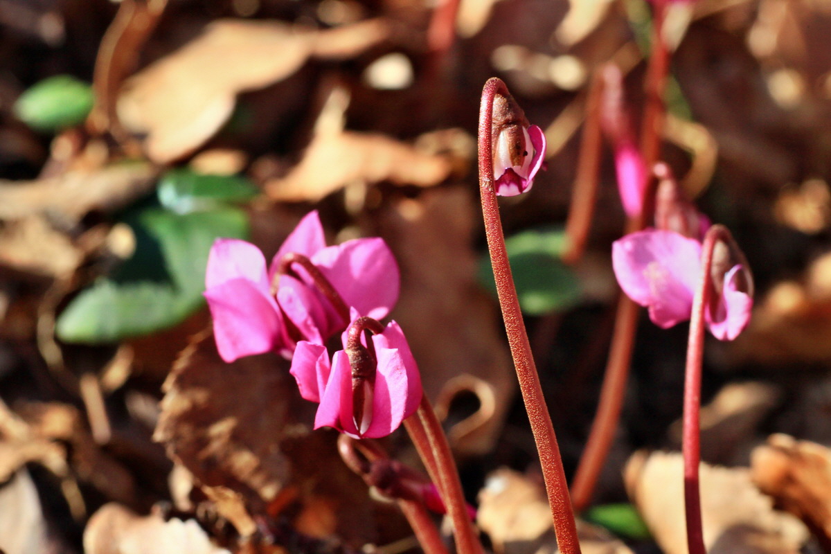 2015_03_08_00015744_Bildgr��e �ndern