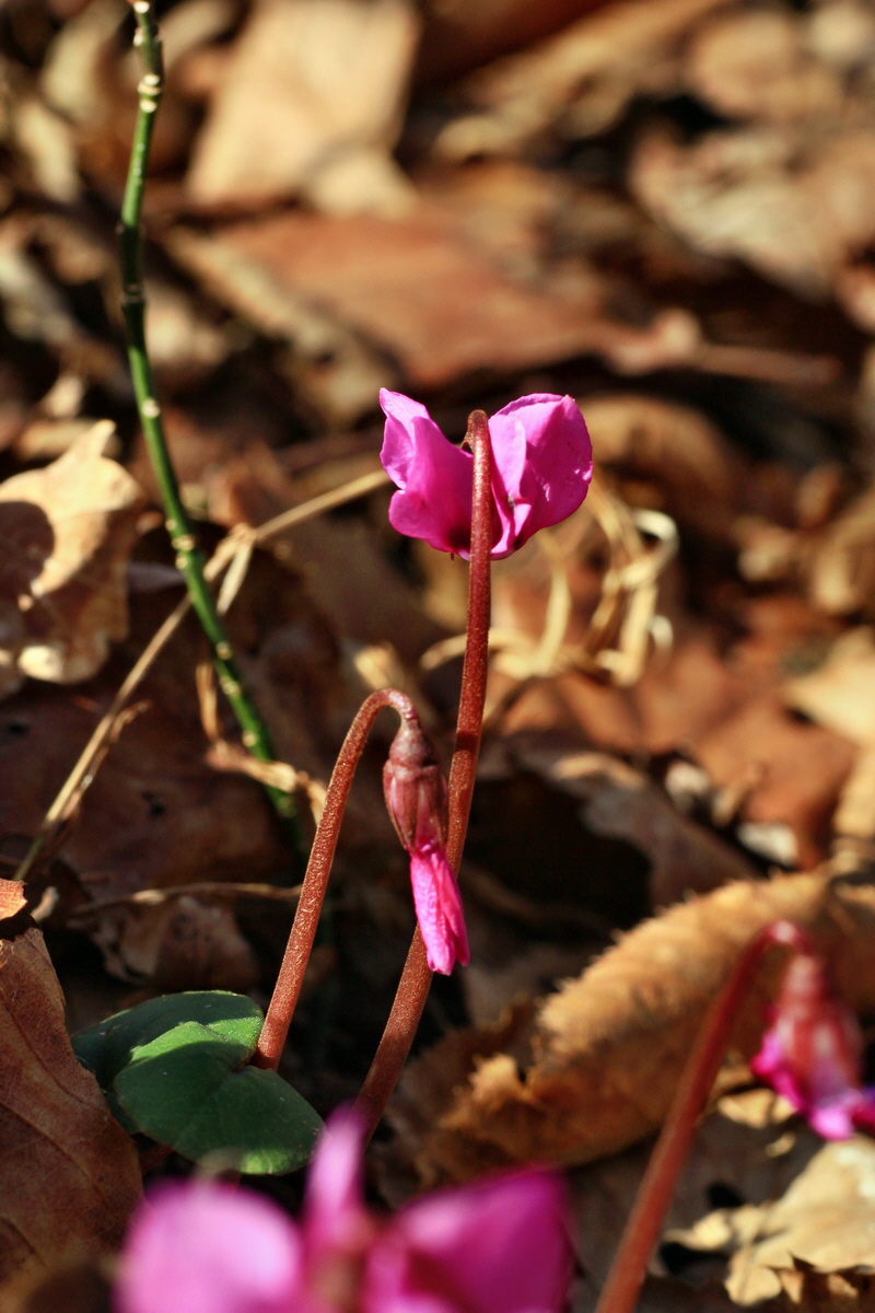 2015_03_08_00015749_Bildgr��e �ndern