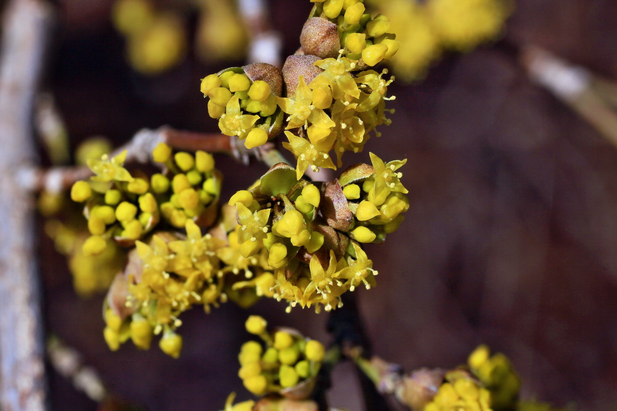 2015_03_08_00015751_Bildgr��e �ndern