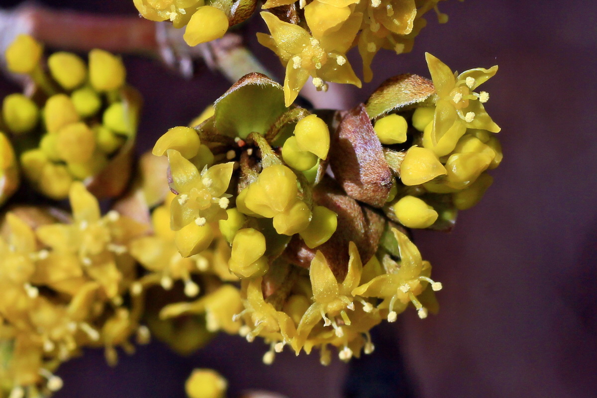 2015_03_08_00015751a_Bildgr��e �ndern