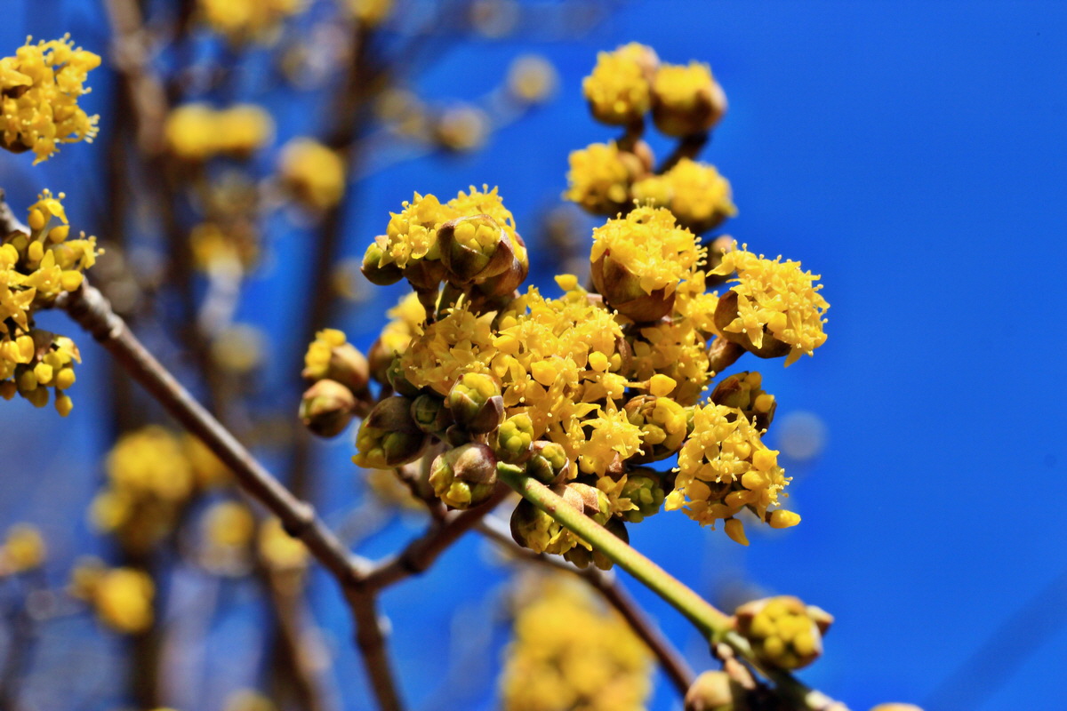 2015_03_08_00015755_Bildgr��e �ndern