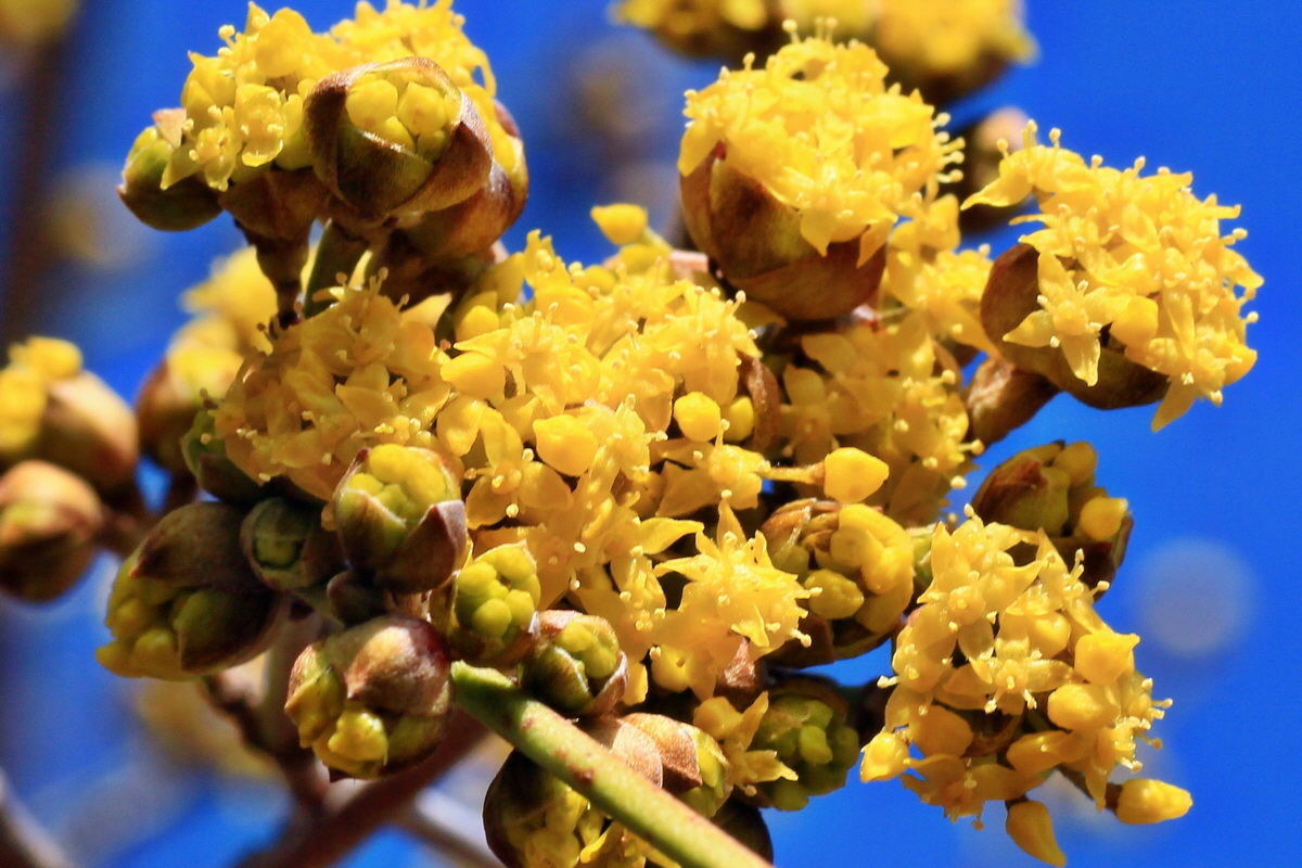 2015_03_08_00015755a_Bildgr��e �ndern