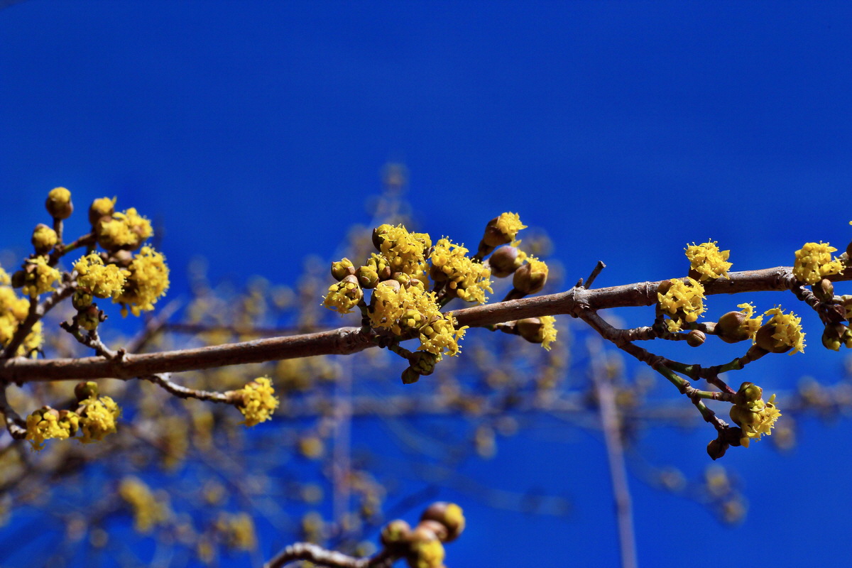 2015_03_08_00015762_Bildgr��e �ndern