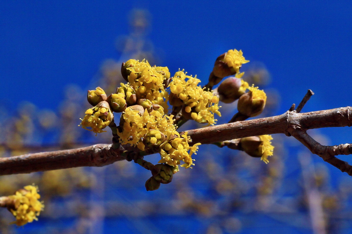 2015_03_08_00015762a_Bildgr��e �ndern