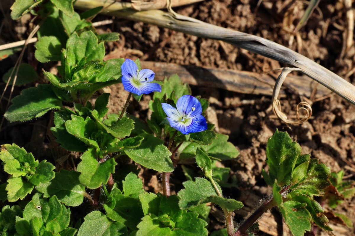 2015_03_08_00015763_Bildgr��e �ndern