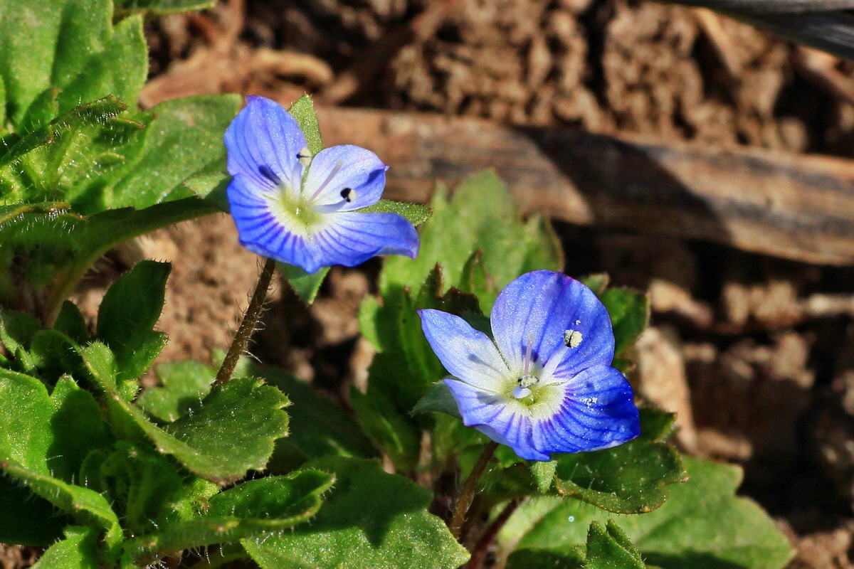 2015_03_08_00015763a_Bildgr��e �ndern