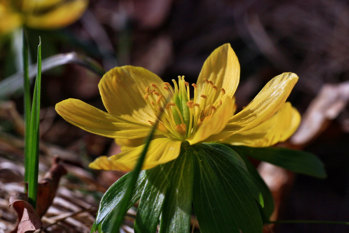 2015_03_08_00015776_Bildgr��e �ndern