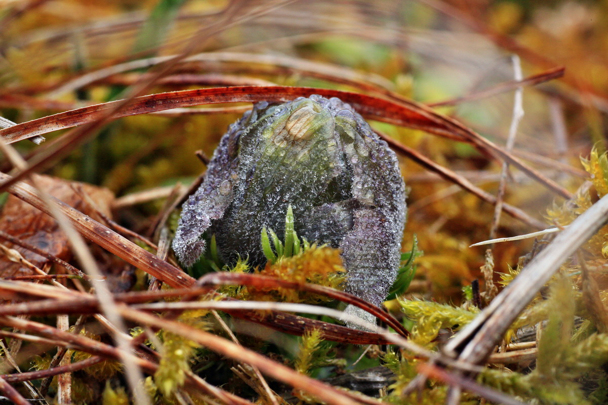 2015_03_10_00015783_Bildgr��e �ndern