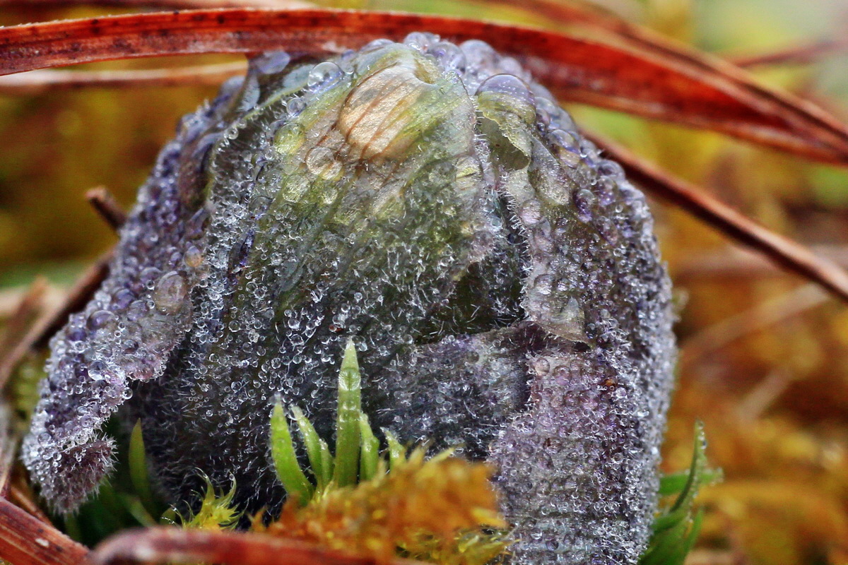 2015_03_10_00015783a_Bildgr��e �ndern