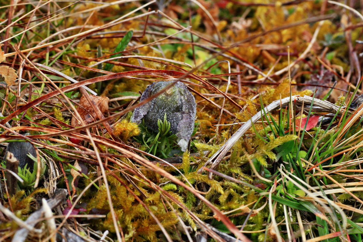 2015_03_10_00015785_Bildgr��e �ndern