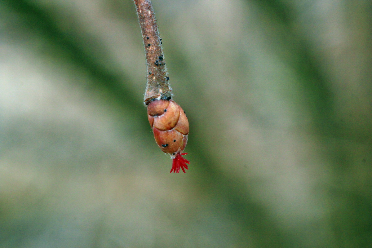 2015_03_10_00015794_Bildgr��e �ndern