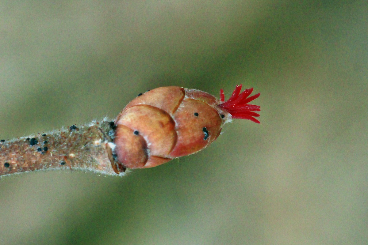 2015_03_10_00015794a_Bildgr��e �ndern