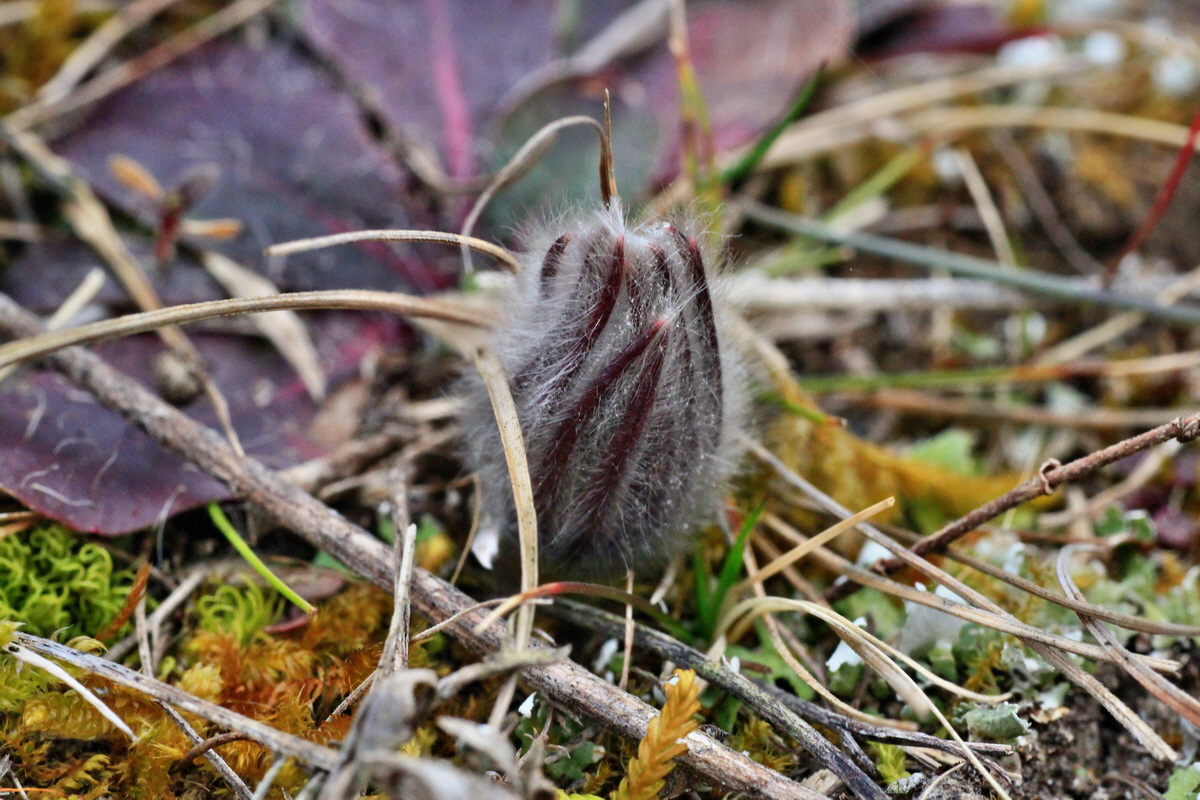 2015_03_10_00015808_Bildgr��e �ndern