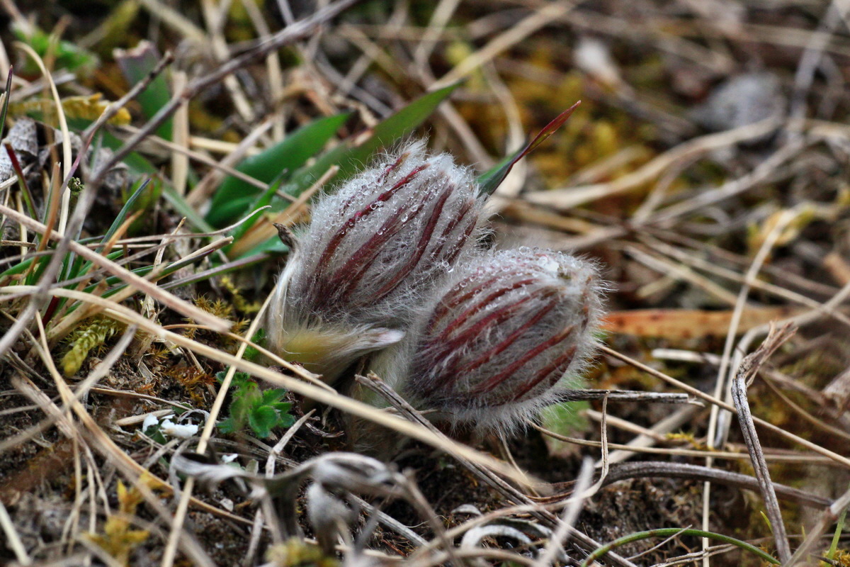 2015_03_10_00015812_Bildgr��e �ndern